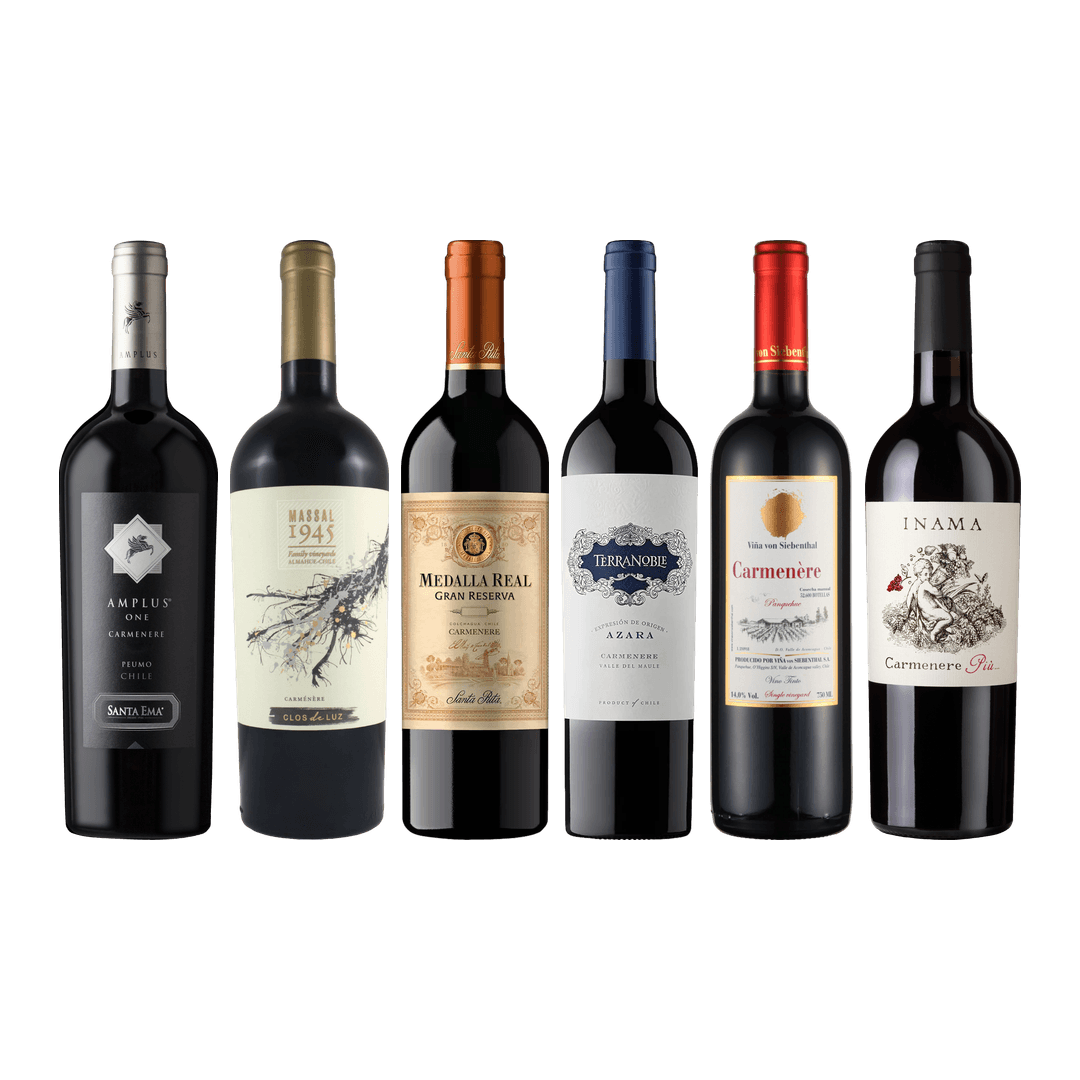 Carmenere Tasting Case