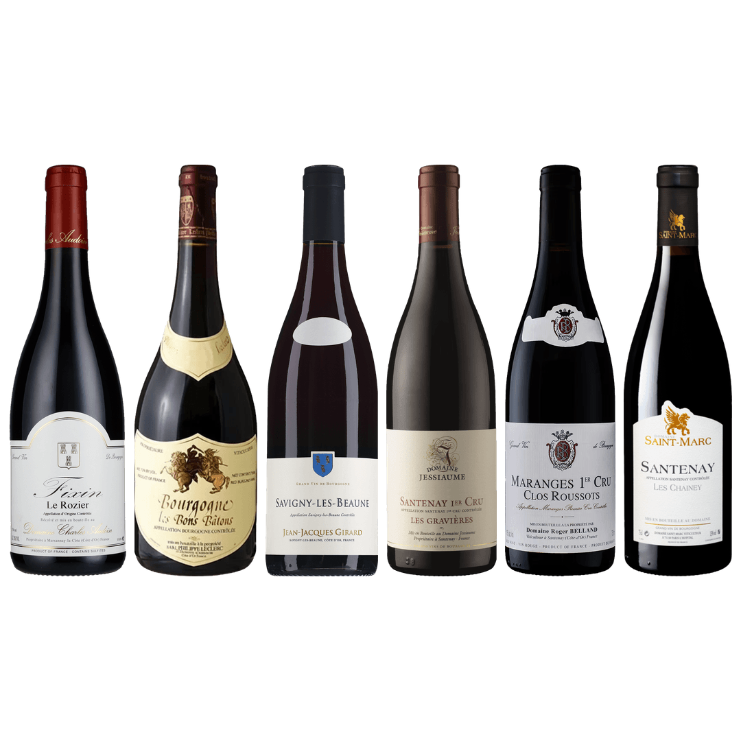 Red Burgundy Tasting Case