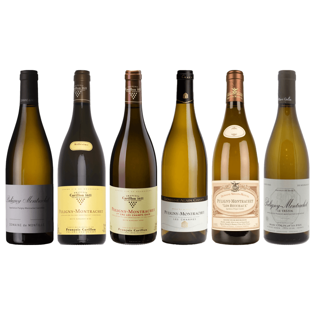 Puligny-Montrachet Tasting Case