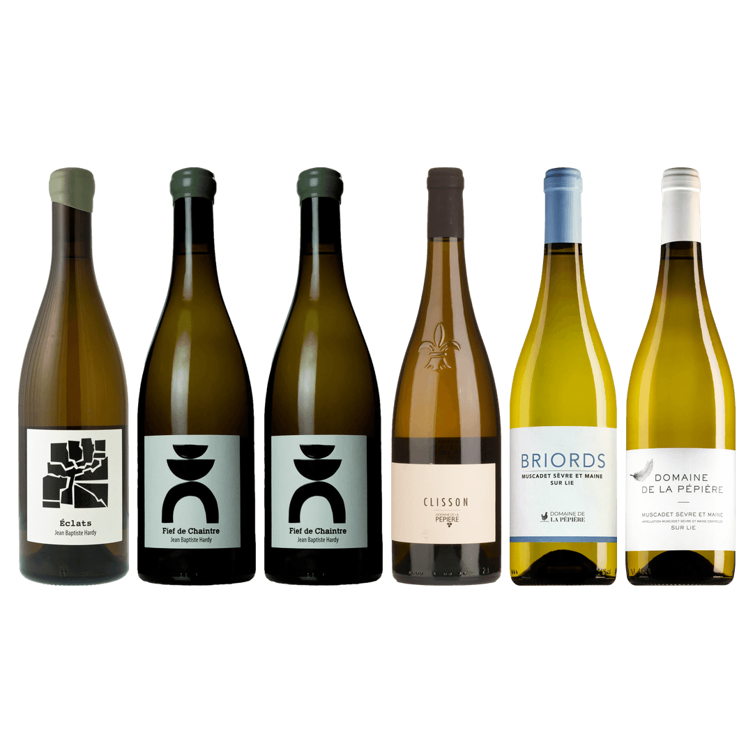 Muscadet Premium Tasting Case
