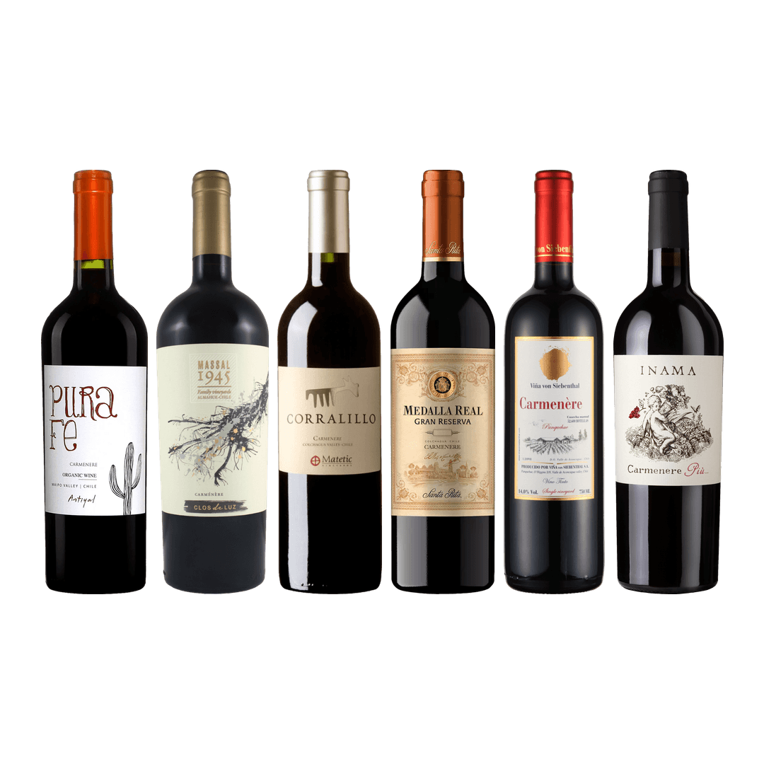 Carmenere Tasting Case
