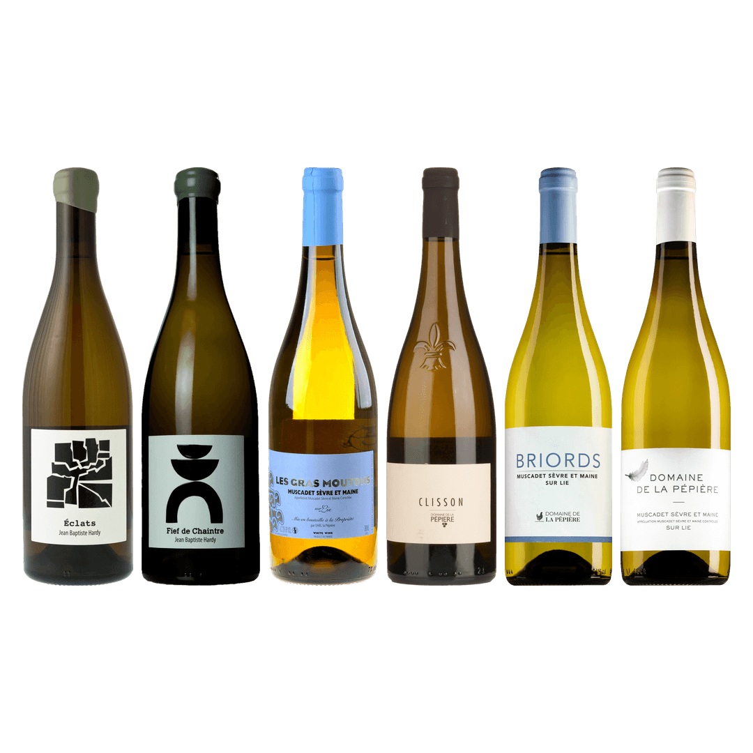 Muscadet Premium Tasting Case