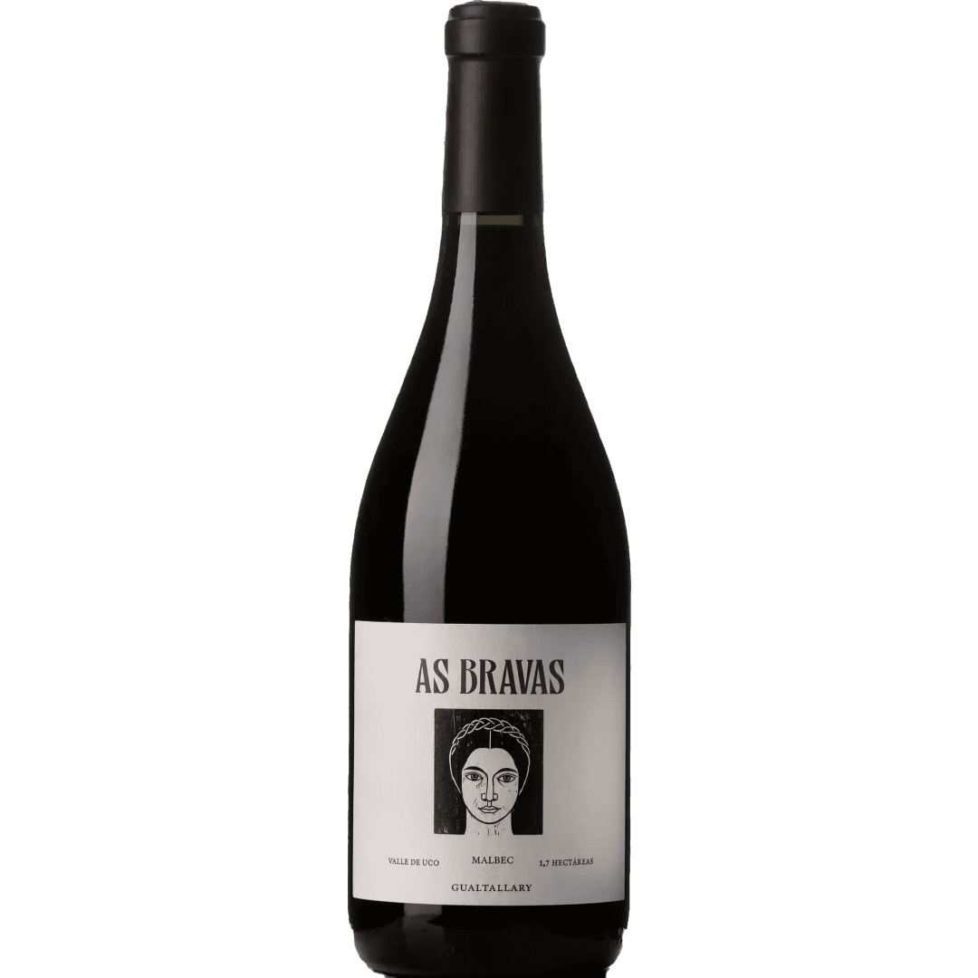 El Enemigo As Bravas Gualtallary Malbec 2018