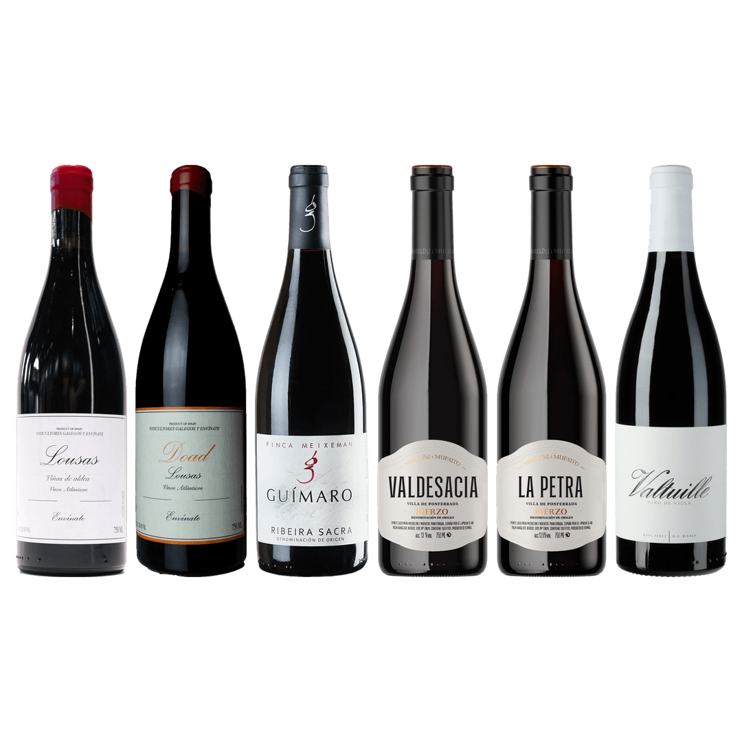 Mencia Premium Tasting Case