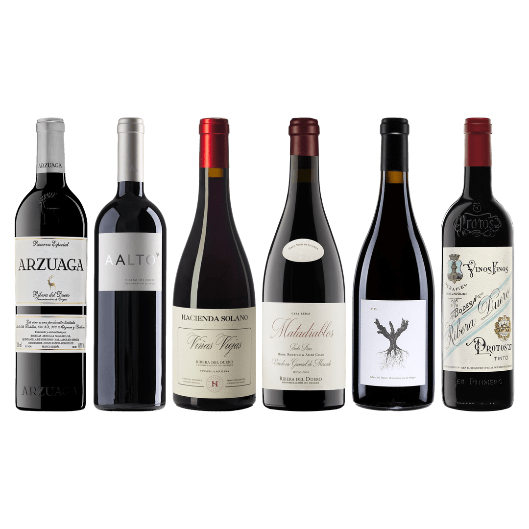 Ribera del Duero Premium Tasting Case