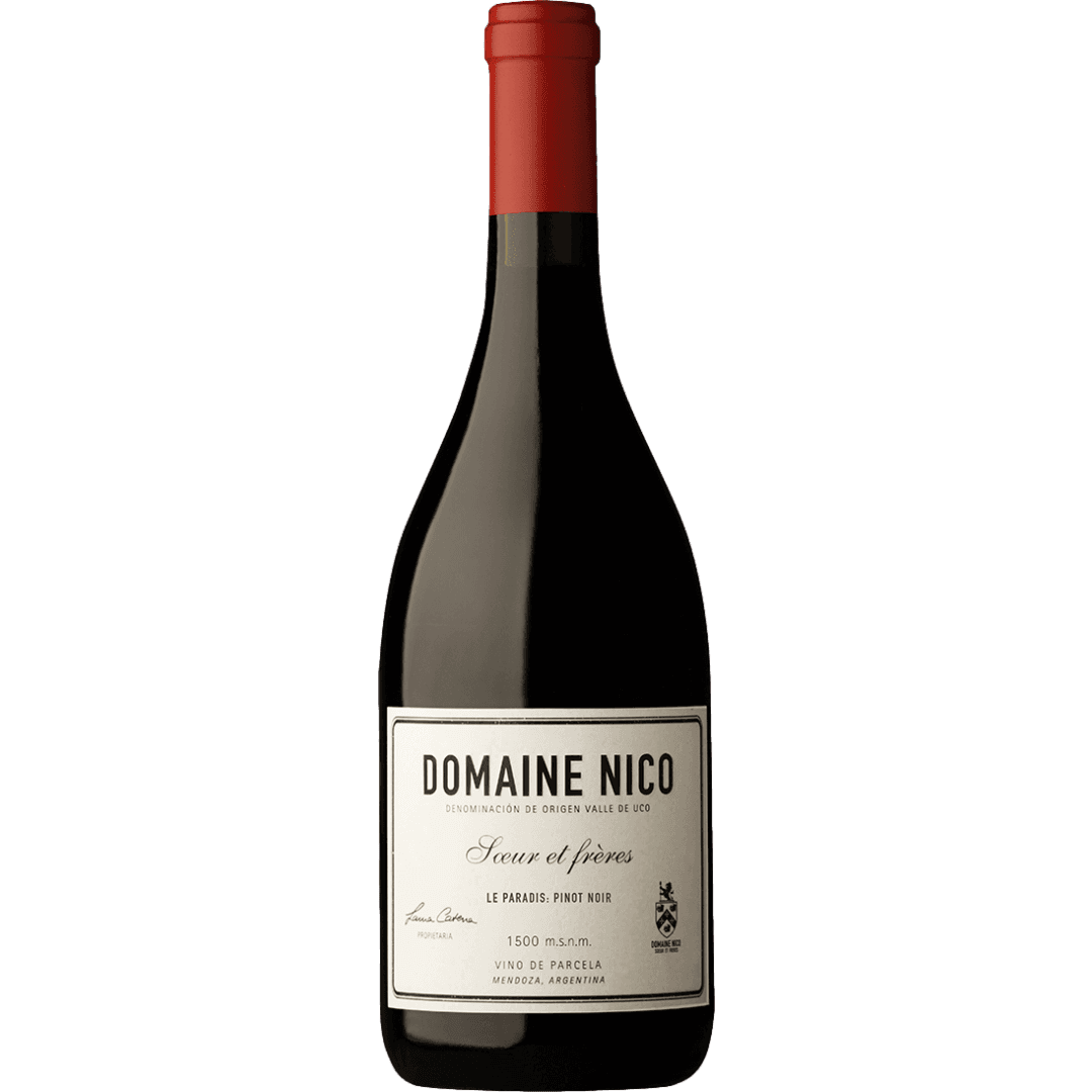 Domaine Nico Le Paradis Pinot Noir 2020