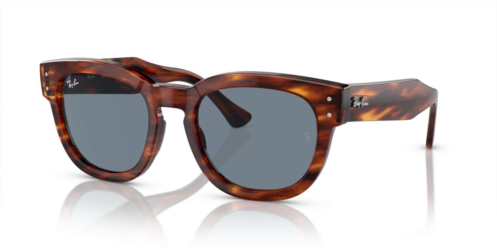 Ray-Ban solbriller - Mega Hawekye fra Ray-Ban - Havana - plast - Rund - large