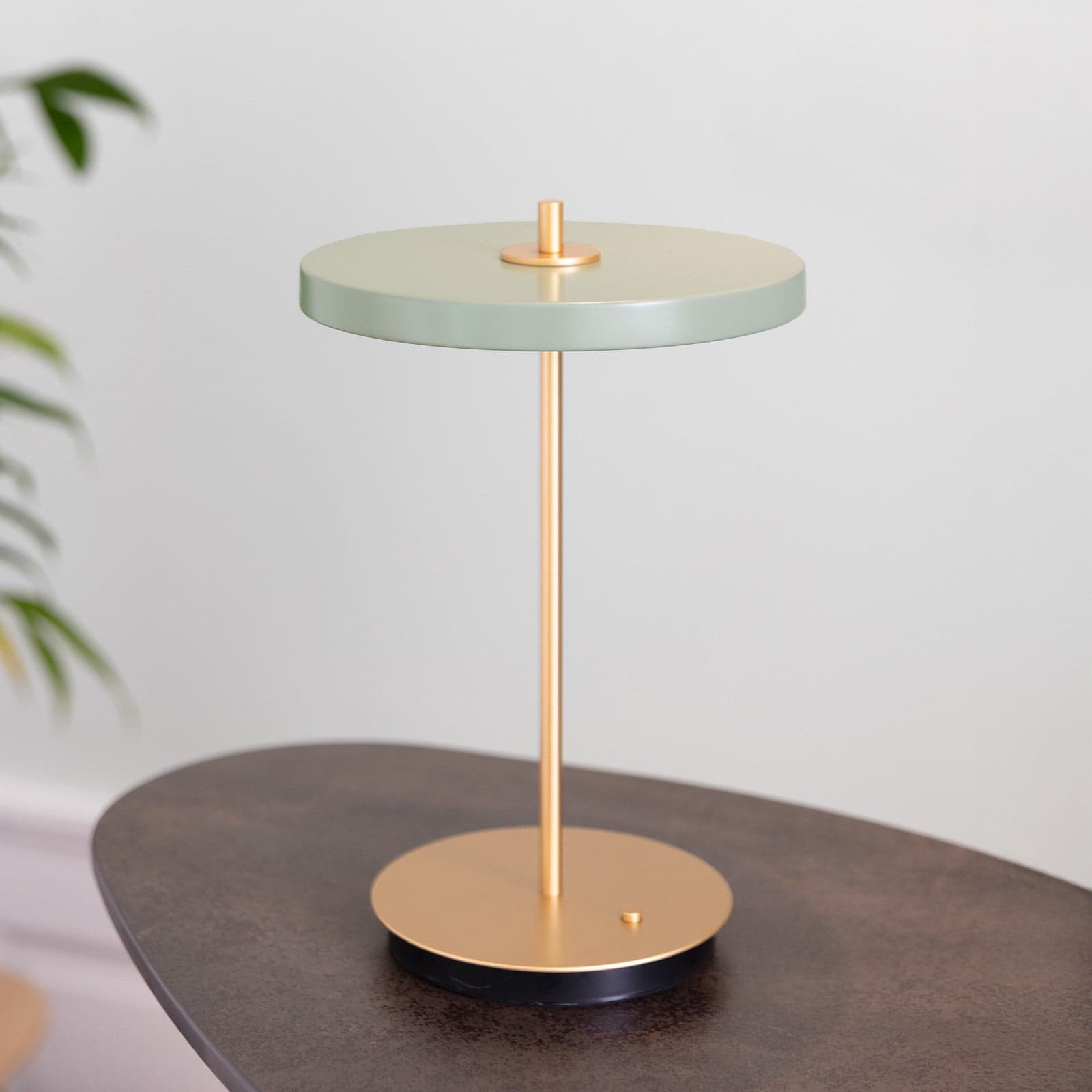 Asteria Move LED-bordlampe med batteri, oliven/messing, 31 cm – UMAGE - Stue - Design - Metall - Med skjerm