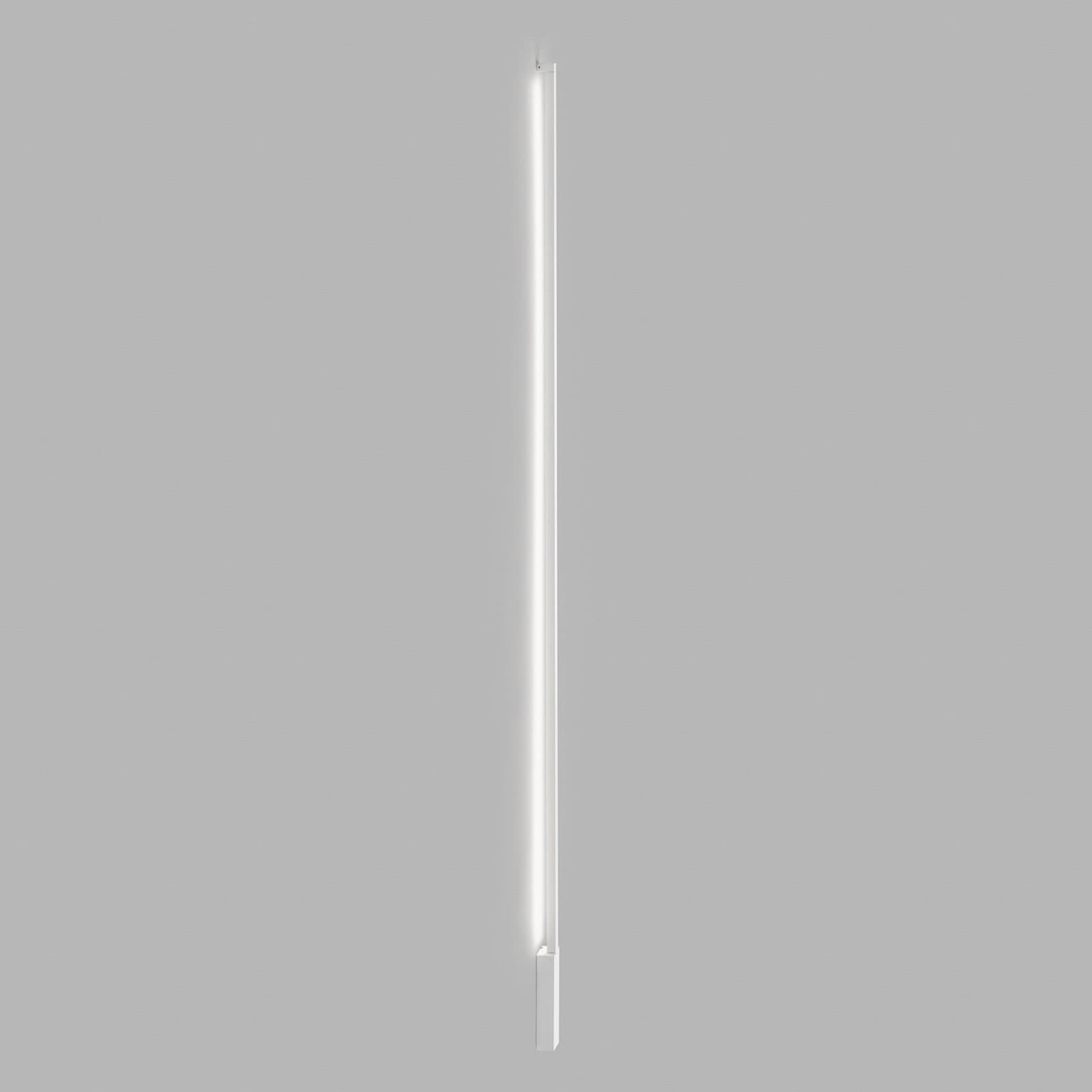 Stripe C/W LED-lyslist, hvit, 200 cm, CCT - Light-Point - Stue - Design - Aluminium - Med en lyskilde