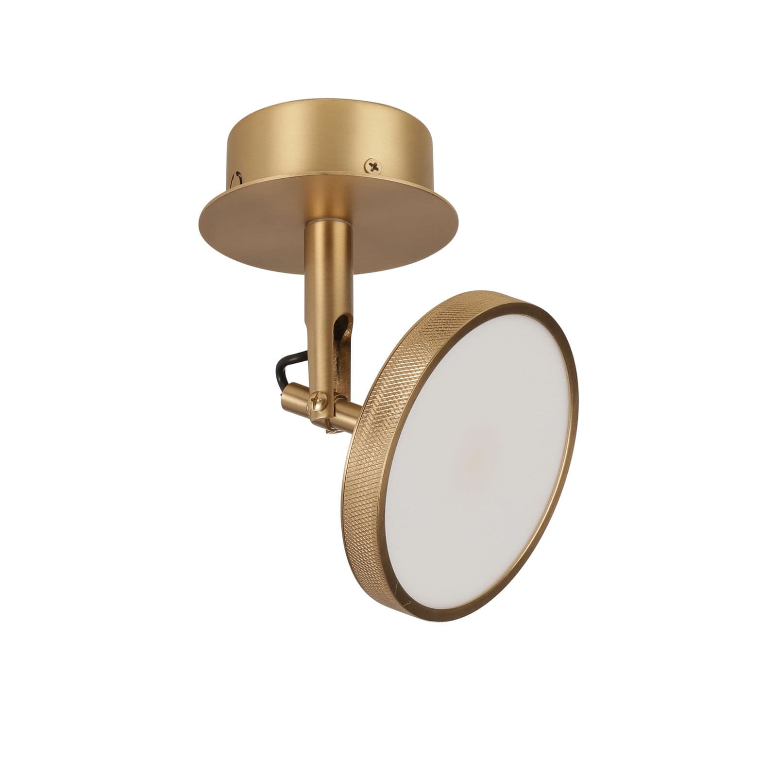 Asteria Spot Taklampe Plated Brass - UMAGE - Stue - Design - Metall - Med skjerm