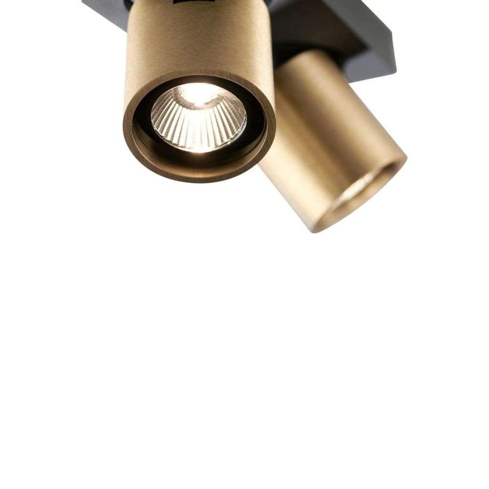 Focus 2 LED Taklampe 3000K Brass - LIGHT-POINT - Stue - Aluminium