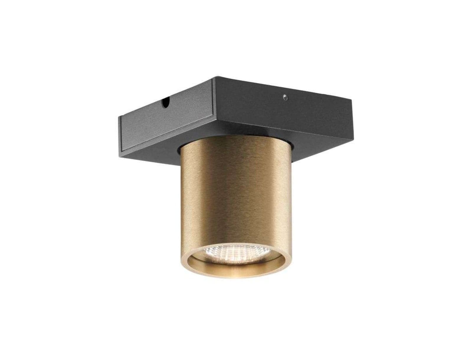Focus 1 LED Taklampe 3000K Brass - LIGHT-POINT - Stue - Aluminium