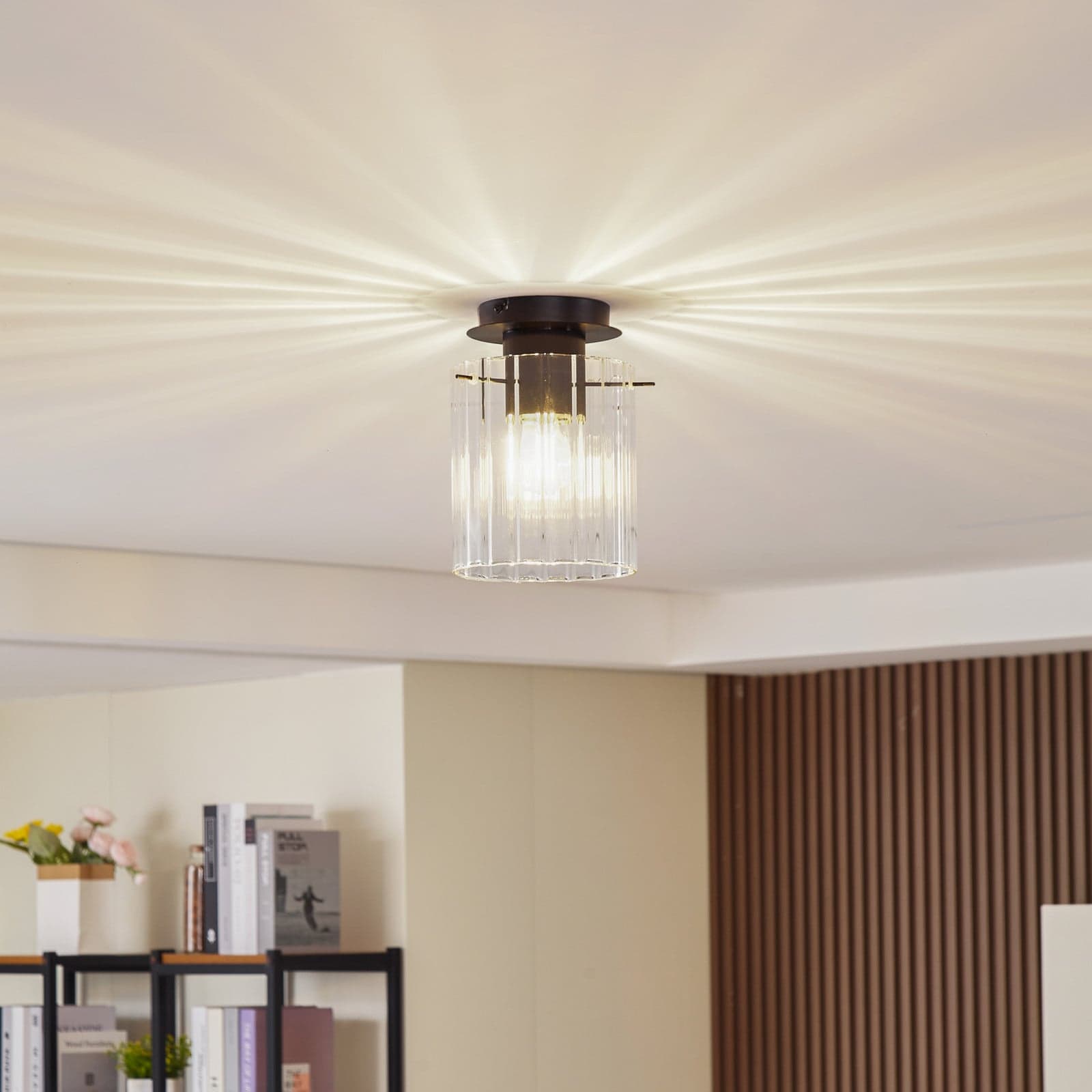 Eirian Taklampe Clear/Black - Lucande - Stue - Moderne - Metall - Med en lyskilde