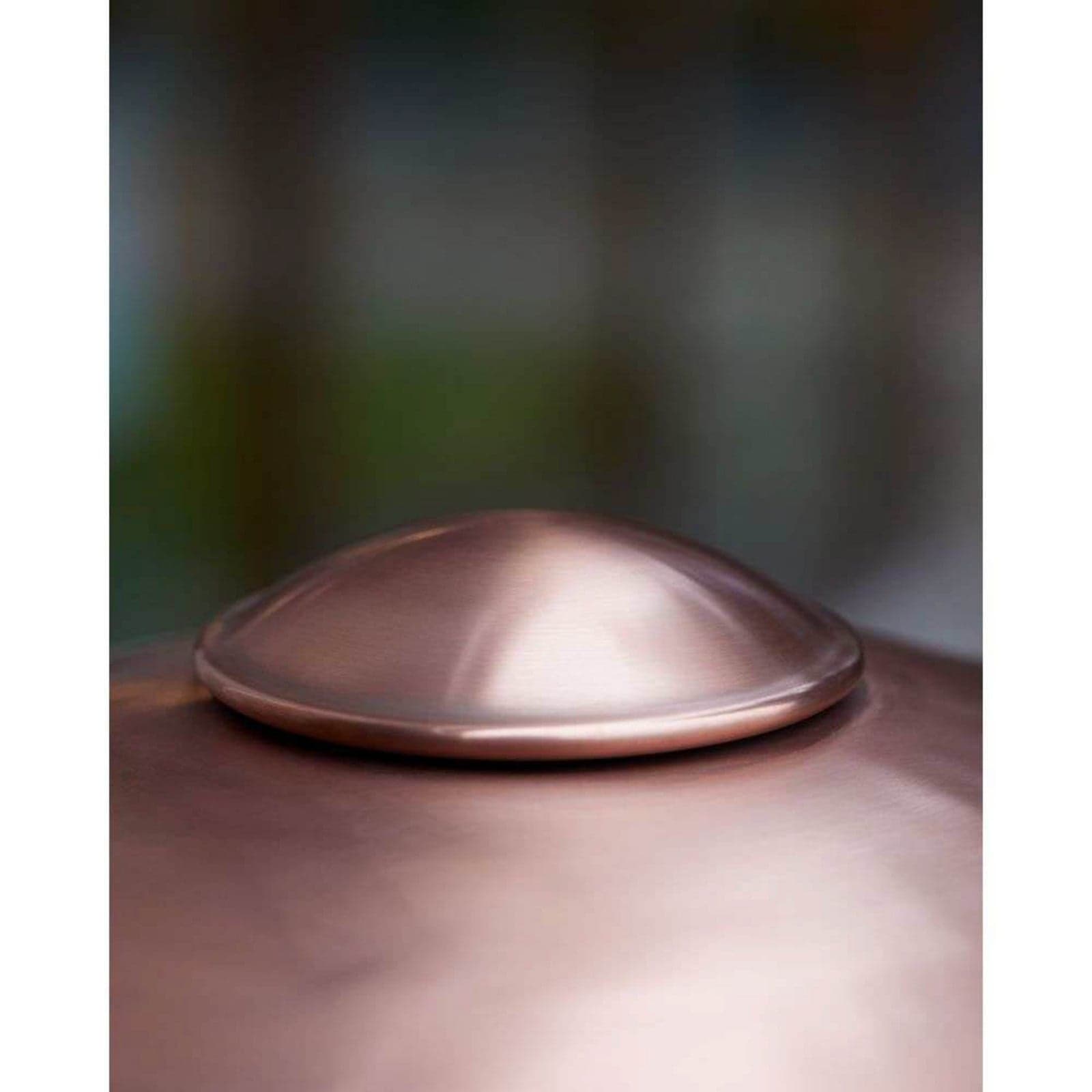 HL410 utendørs vegglampe, kobber/klar – FRITZ HANSEN - Terrasse