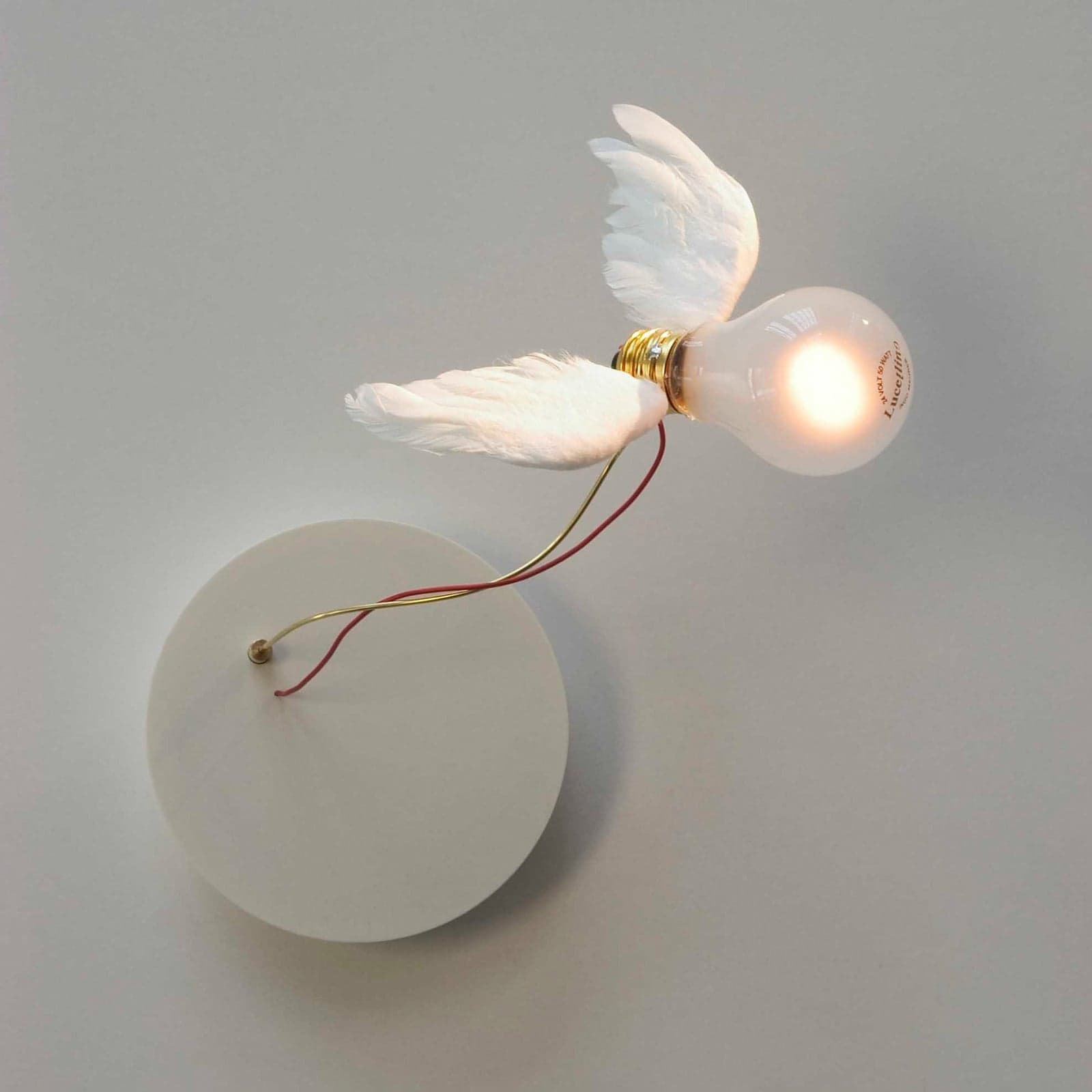 Lucellino NT Vegglampe - Ingo Maurer - Stue - Design - Rund