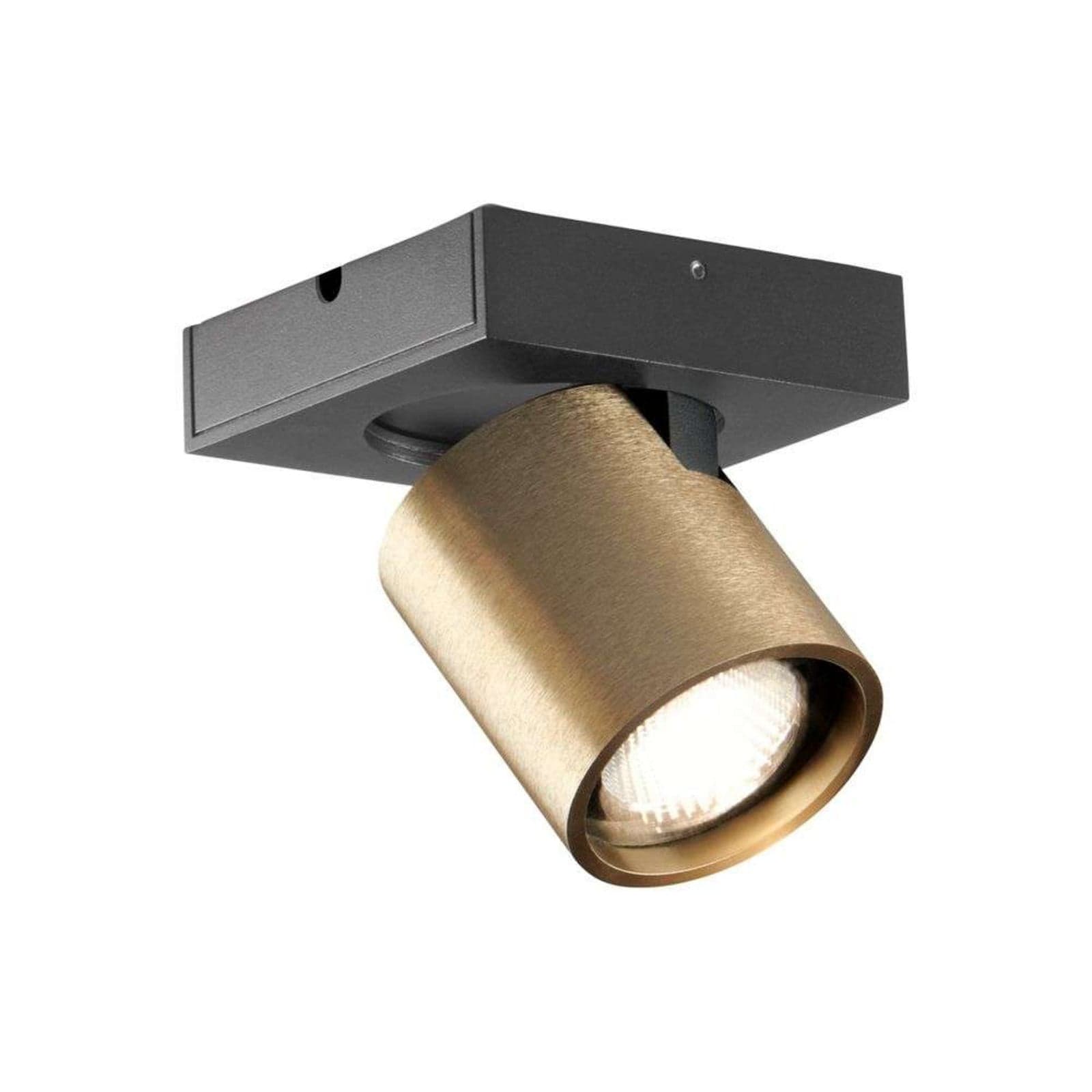Focus 1 LED Taklampe 2700K Brass - LIGHT-POINT - Stue - Aluminium
