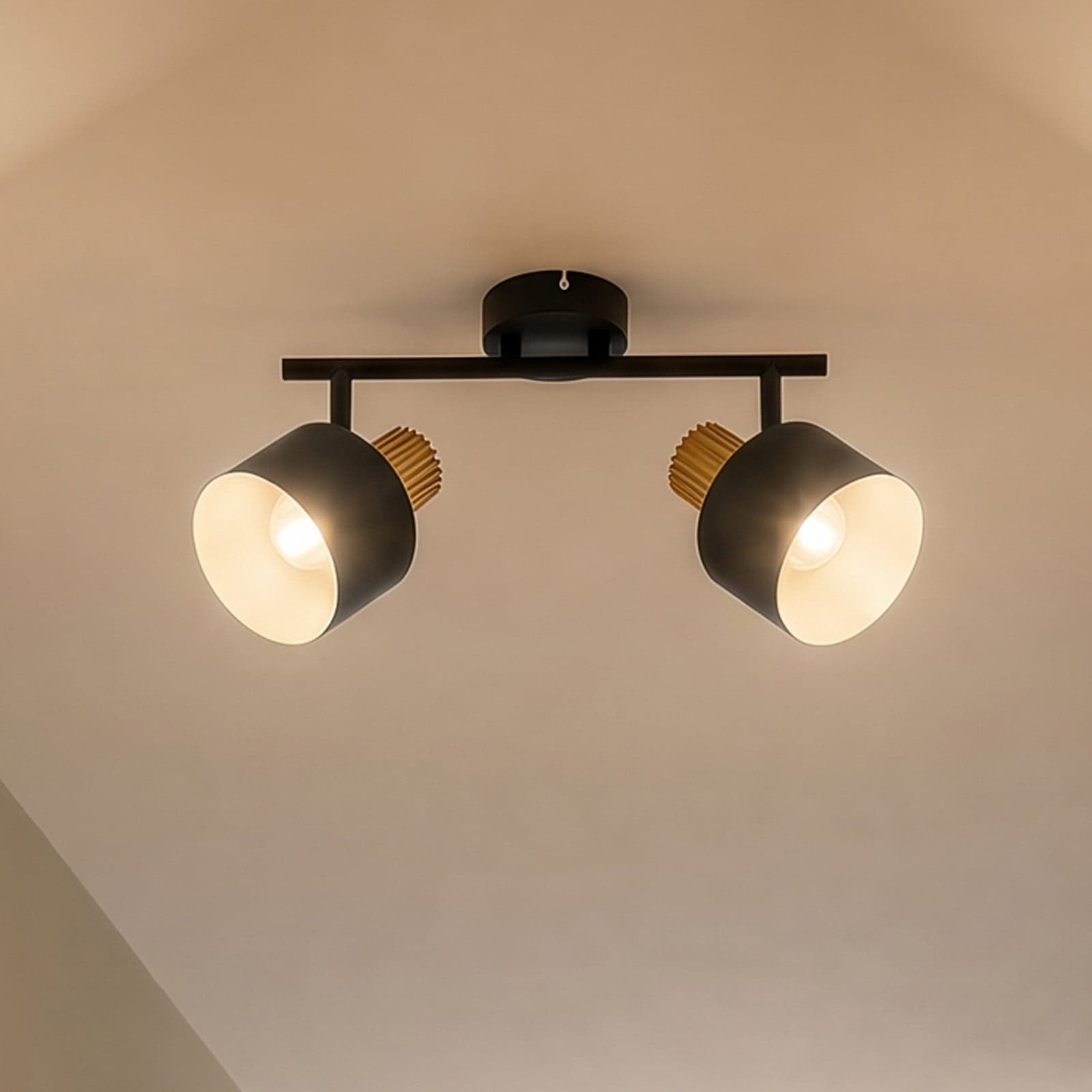 Lenja downlight, E14, svart/hvit, 2 lyskilder, metall – Lindby - Stue - Moderne - Med flere lyskilder