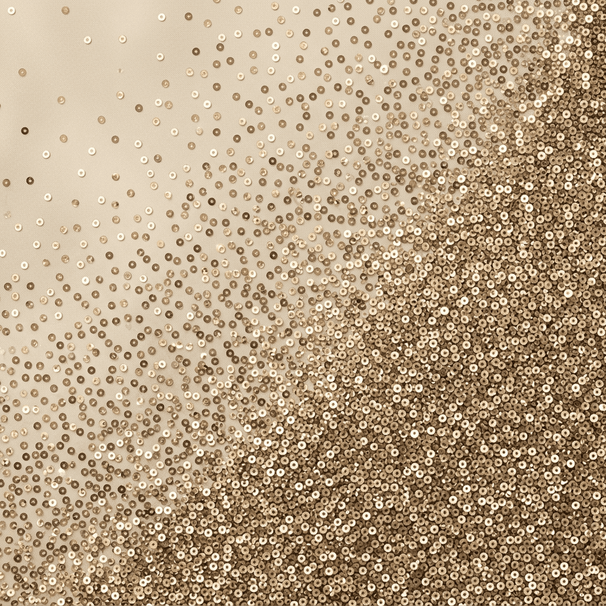 Champagne Sequin Tide case — AirTag Holder