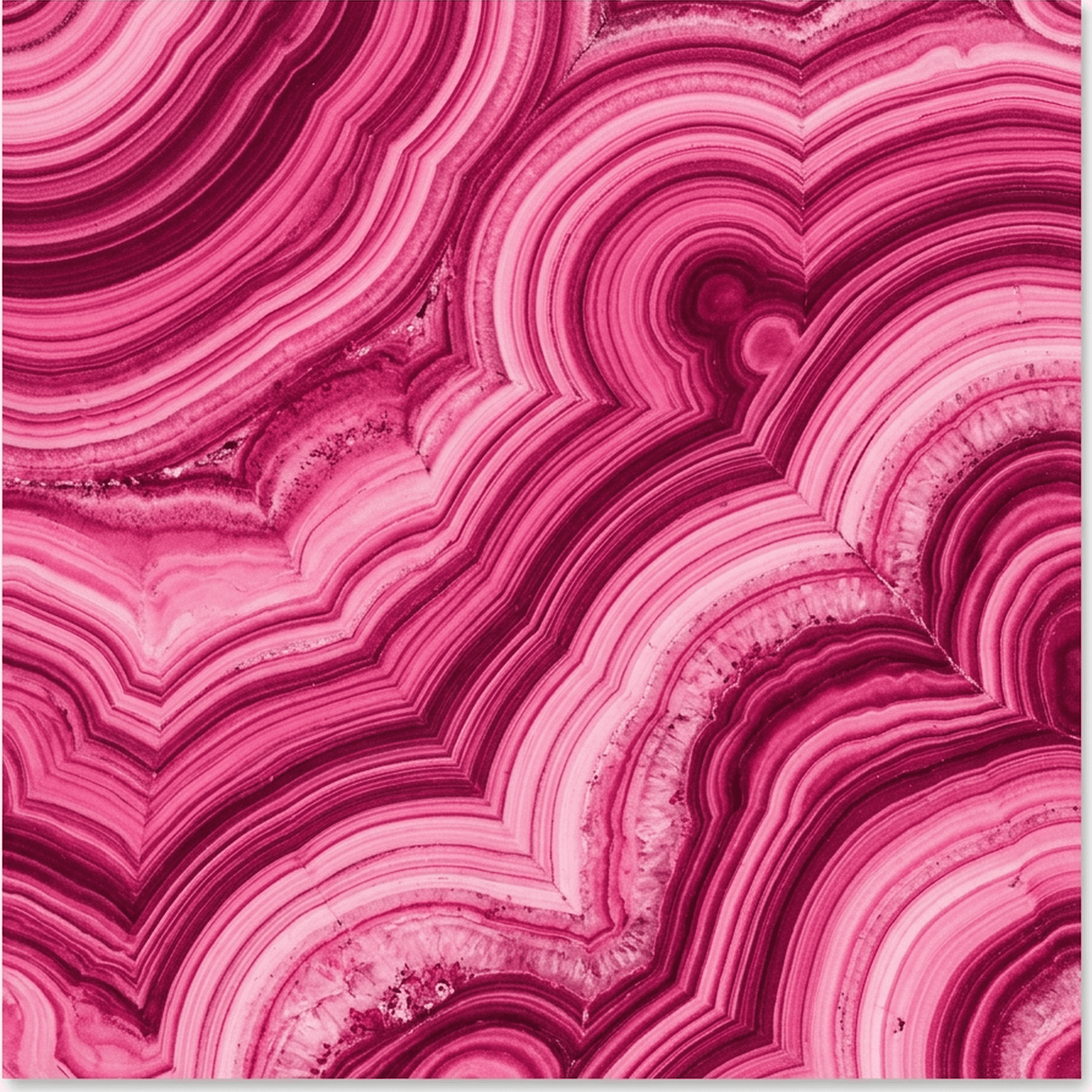 Hot Pink Malachite Moire case — AirTag Holder