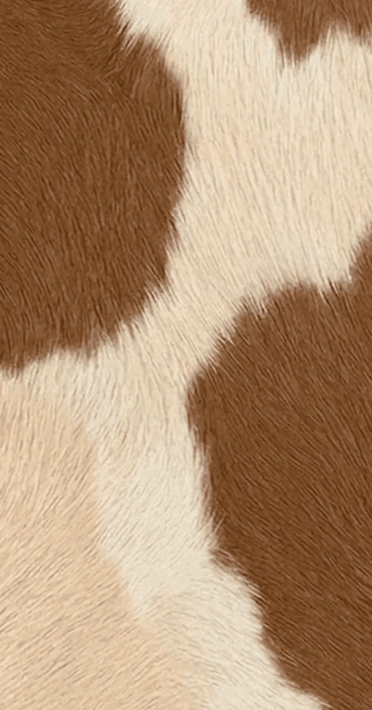 Cream cow case