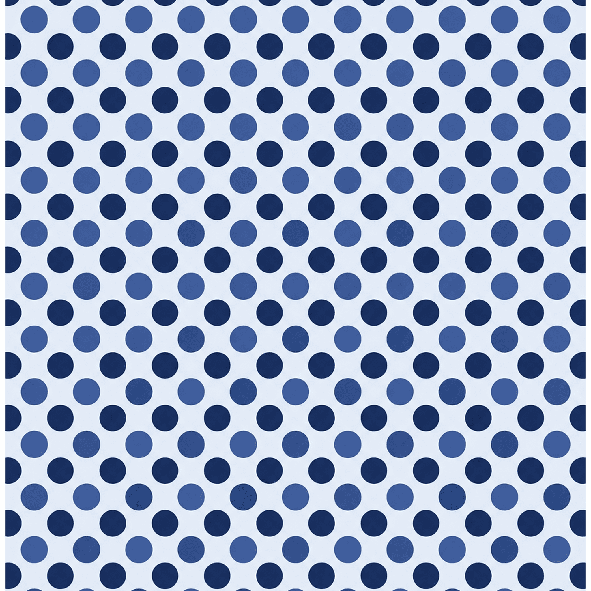 Blueberry dot case