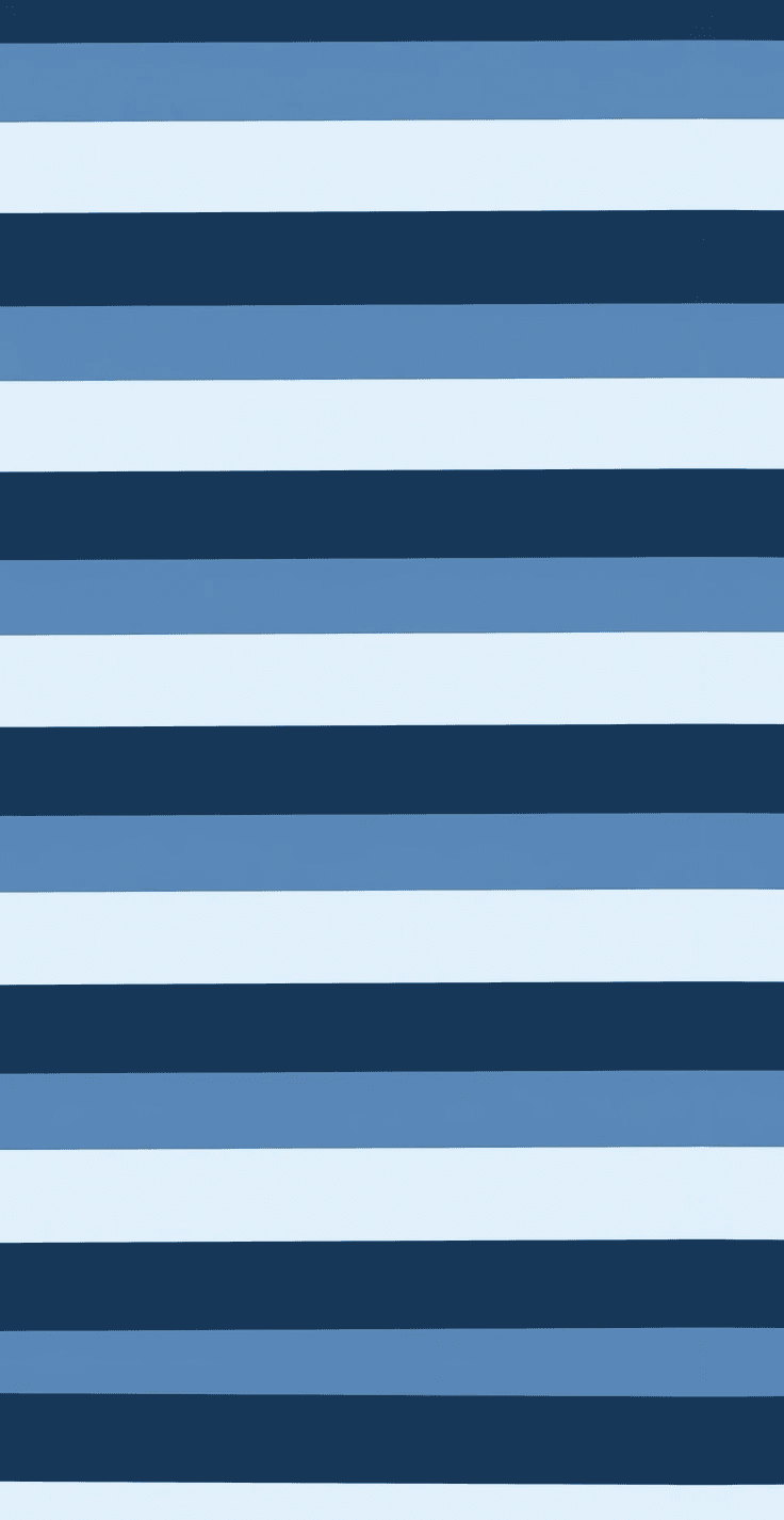 Blue stripe case