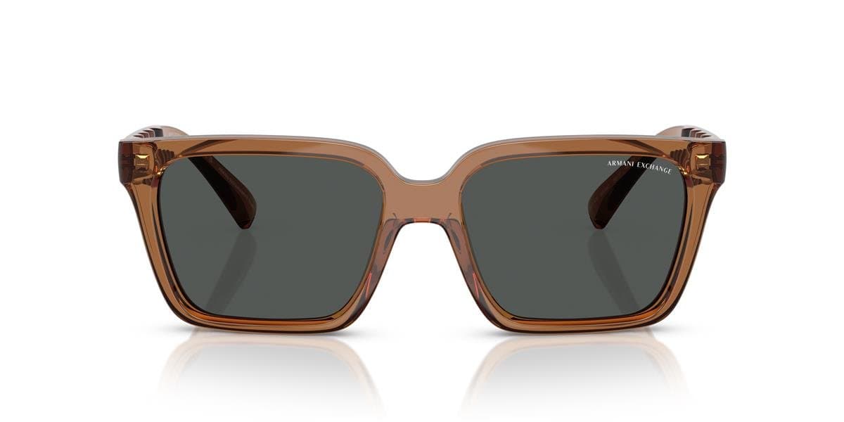 ARMANI EXCHANGE 0AX4147S Brun
