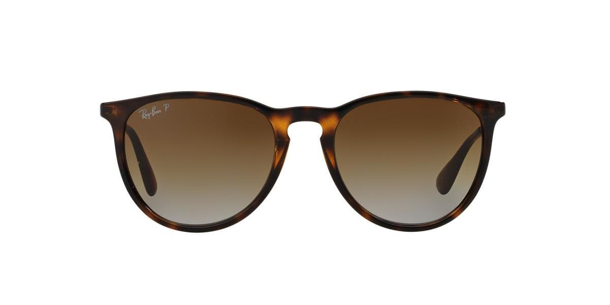 Ray-Ban RB4171 Erika Annet
