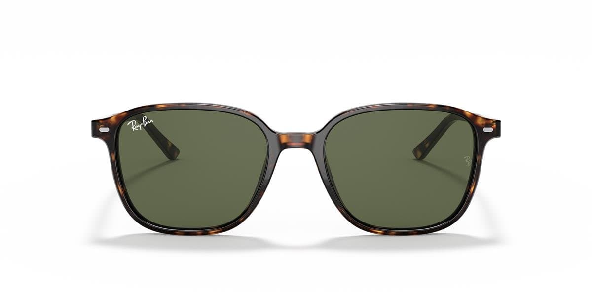 Ray-Ban RB2193 Leonard Multi