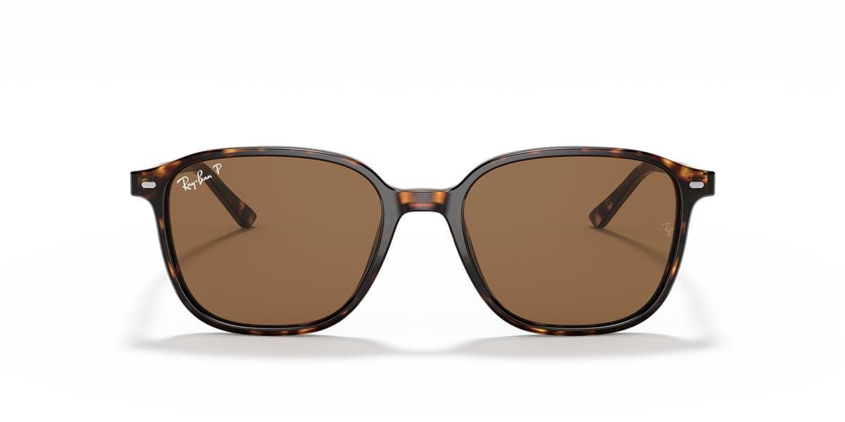 Ray-Ban RB2193 Leonard Multi