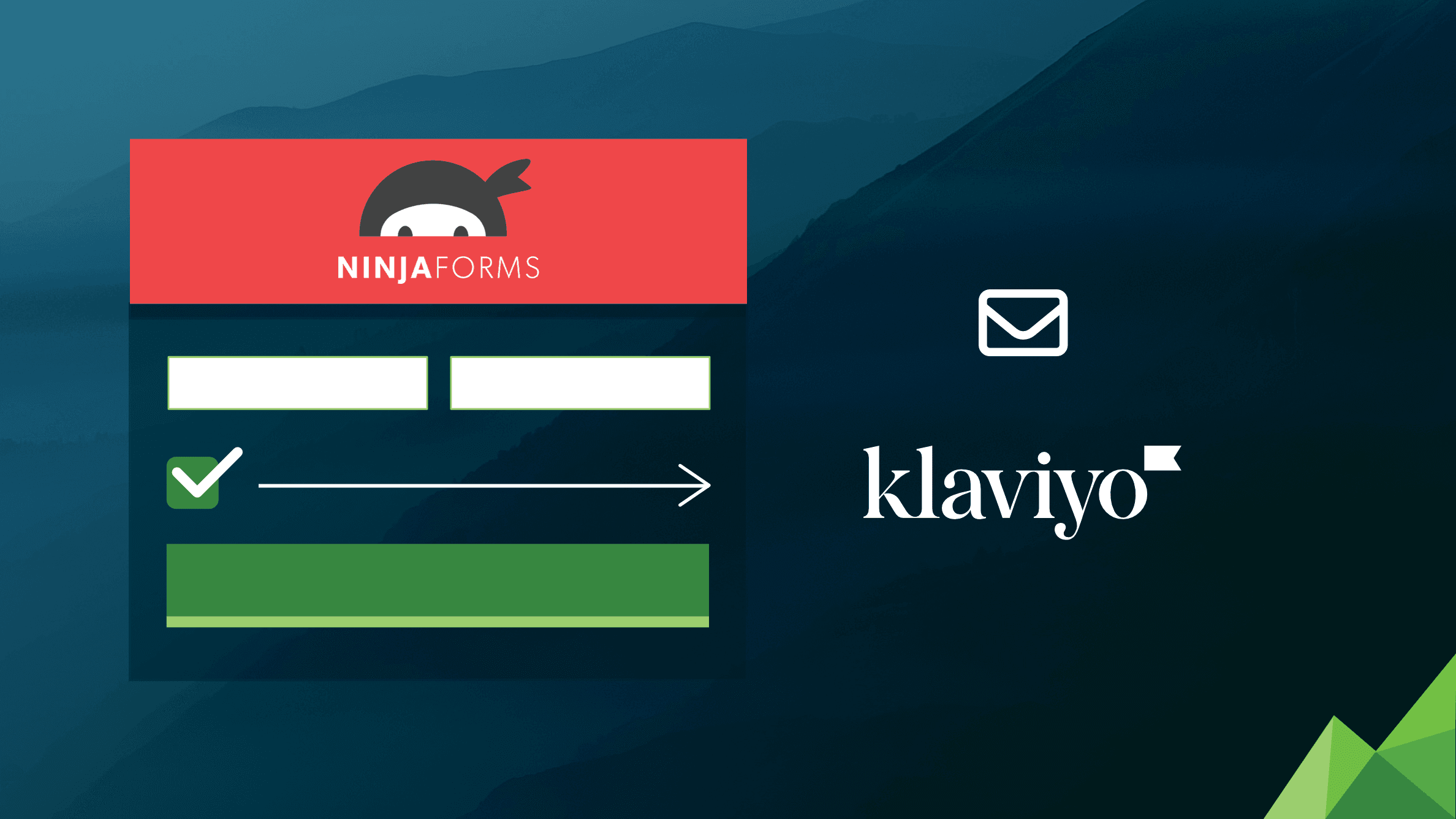 Ninja Forms for Klaviyo
