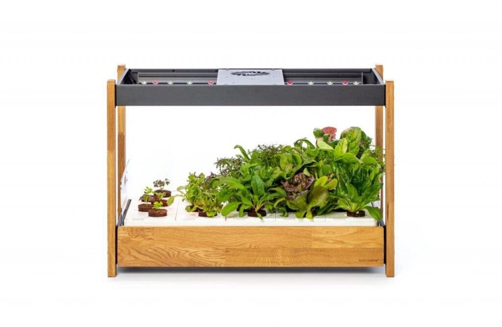 Click and Grow 25 - Svart
