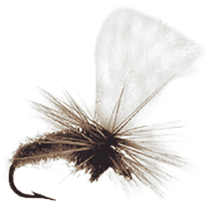 Wiggler Hurricane Fly Torrfluga - Klinkhamer Brun #12