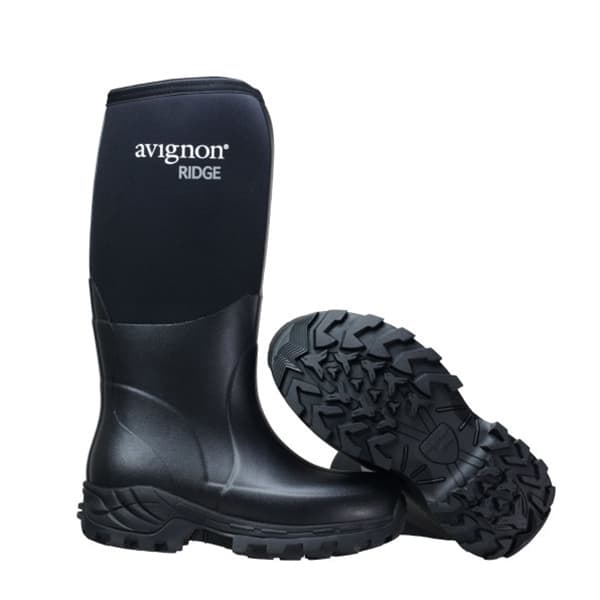Avignon Ridge High -60 (Size: 38)