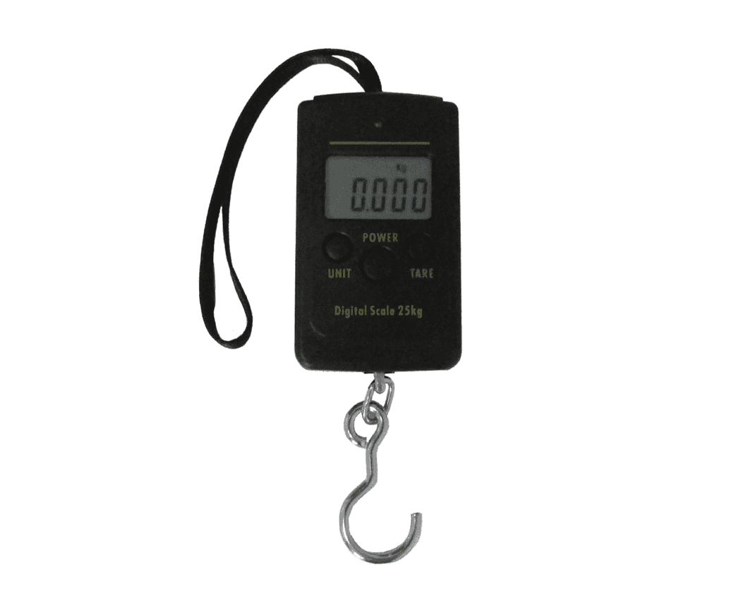Fibe Digital Scale 25kg