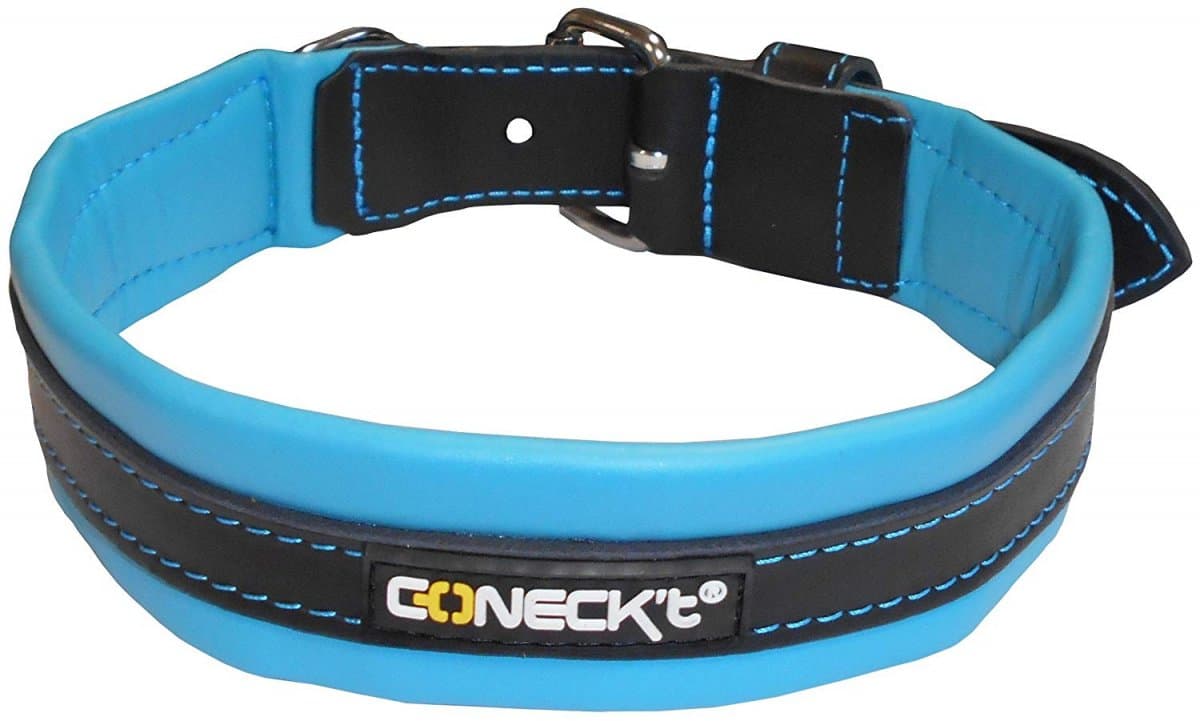 Coneck't Dog Collar Every Day Life Leather - Blue (Size: Medium)