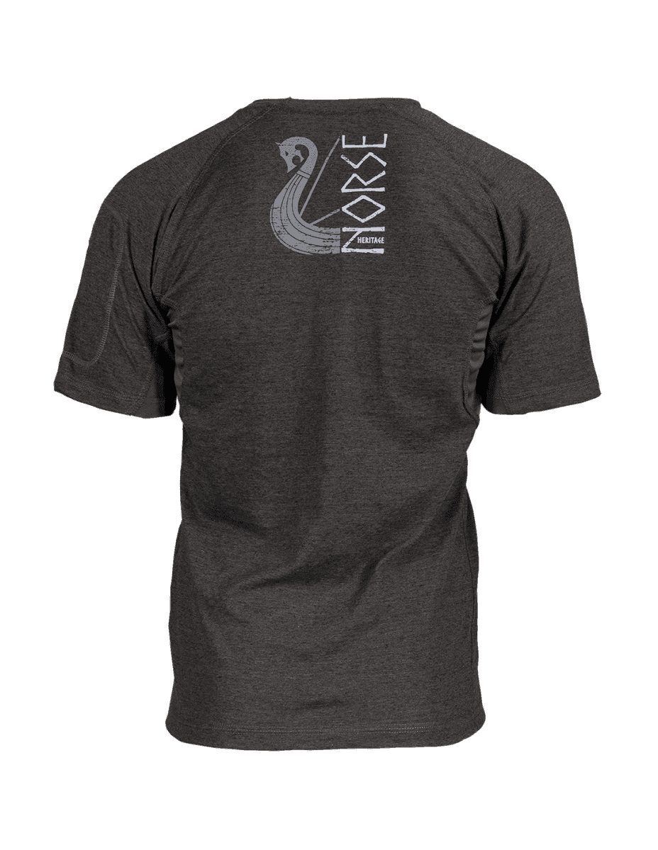 Ragnar Raids Aesir Norse T-Shirt (Color: Grey, Size: 2XL)