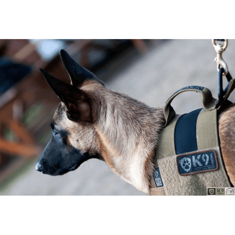 K9 Thorn Alpha Dog Harness (Color: Black, Size: Medium)