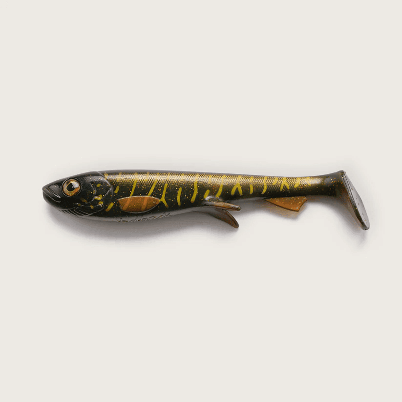Wolfcreek Shad 25cm 125g (Color: #C022 The Record 21+ kg)