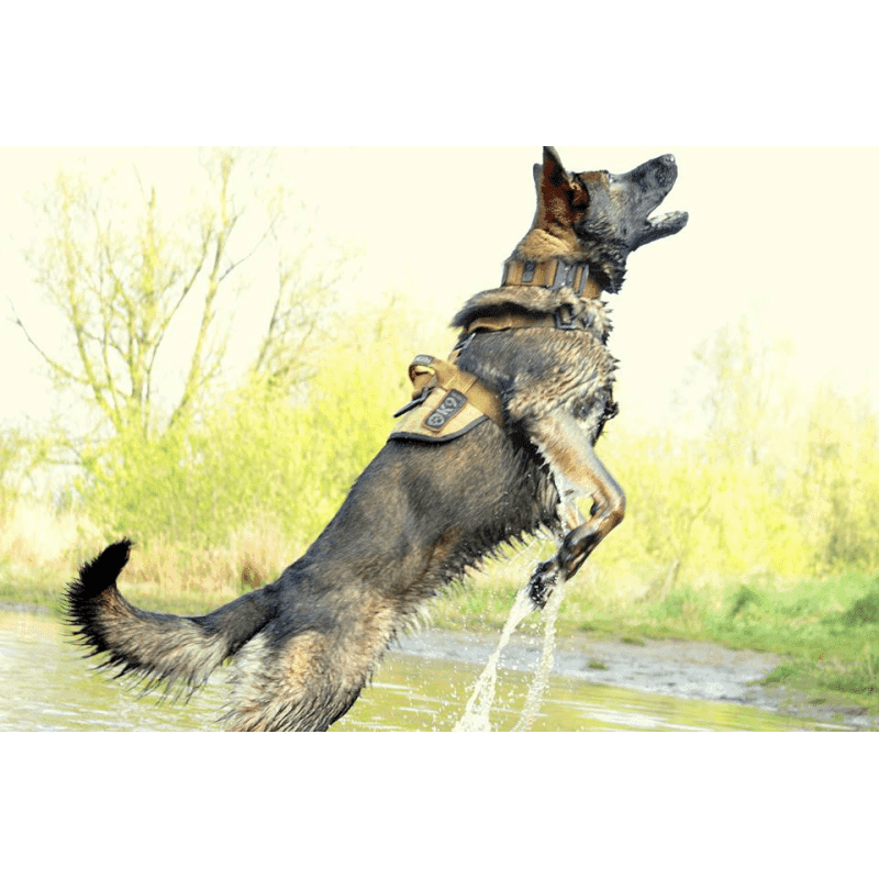 K9 Thorn Delta Dog Harness (Color: Black, Size: Large)