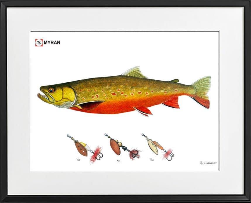 Myran Poster with Frame (Fish: Salmon)