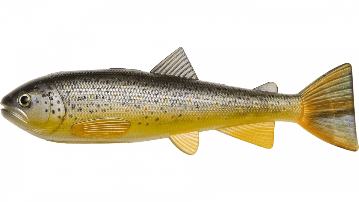 Pulz Bait Roach Skinz 20cm (Färg: Roach Skinz 20cm Artic Char)