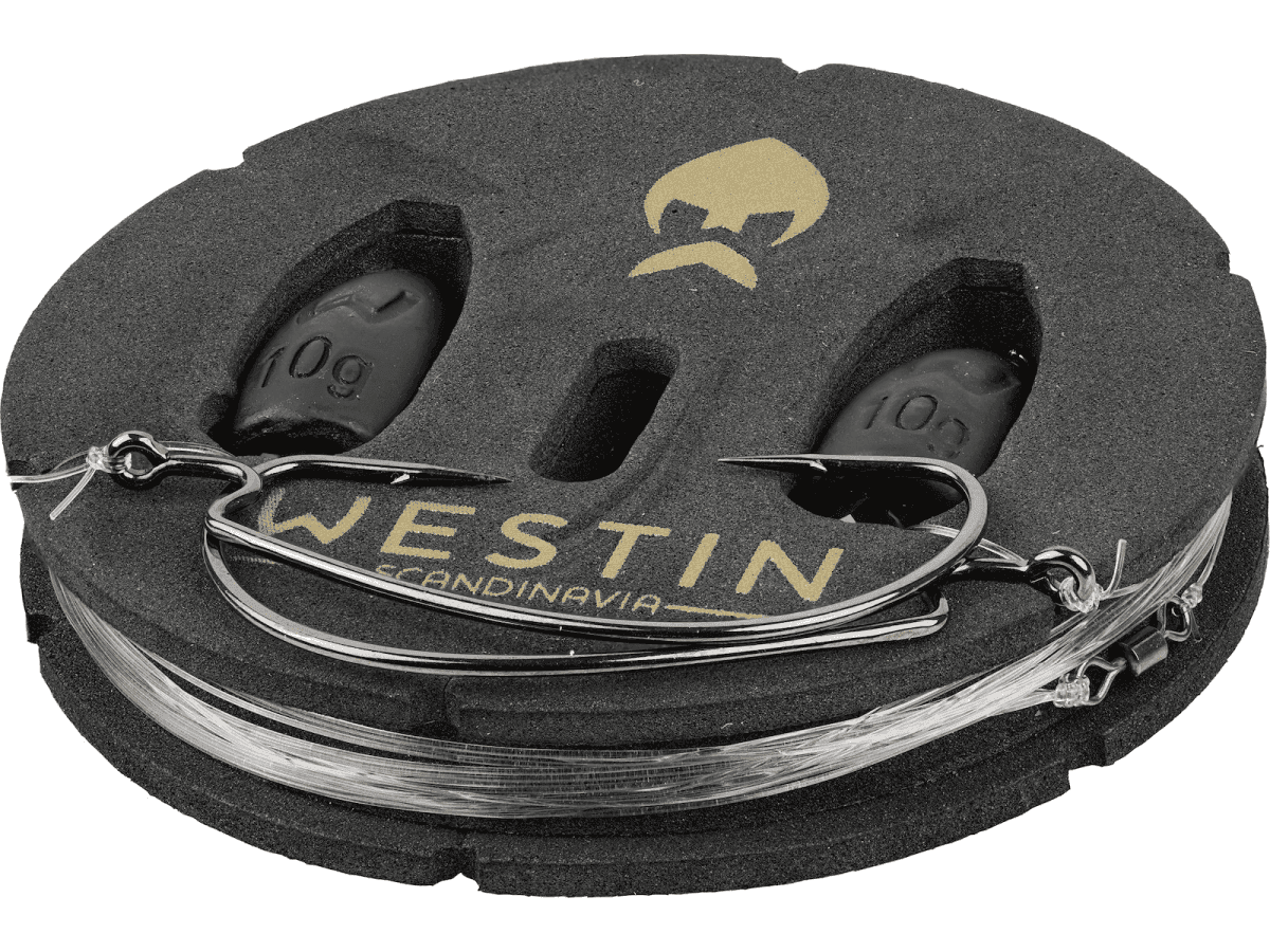 Westin Carolina Rig Kit (Size: 10 g / #2 / 2 pcs)