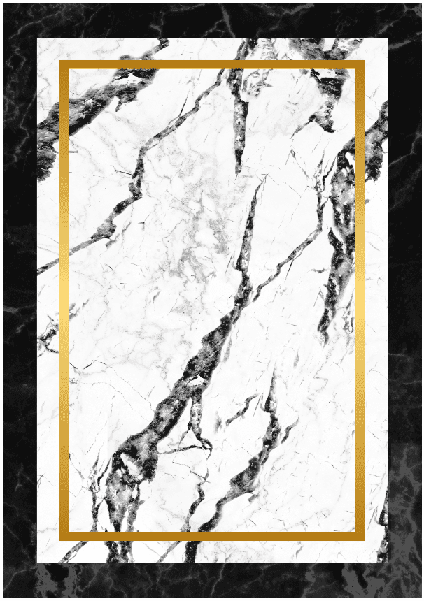 Wilton-teppe - Avola (svart/hvit/gull) (Størrelse: 160 x 230 cm)
