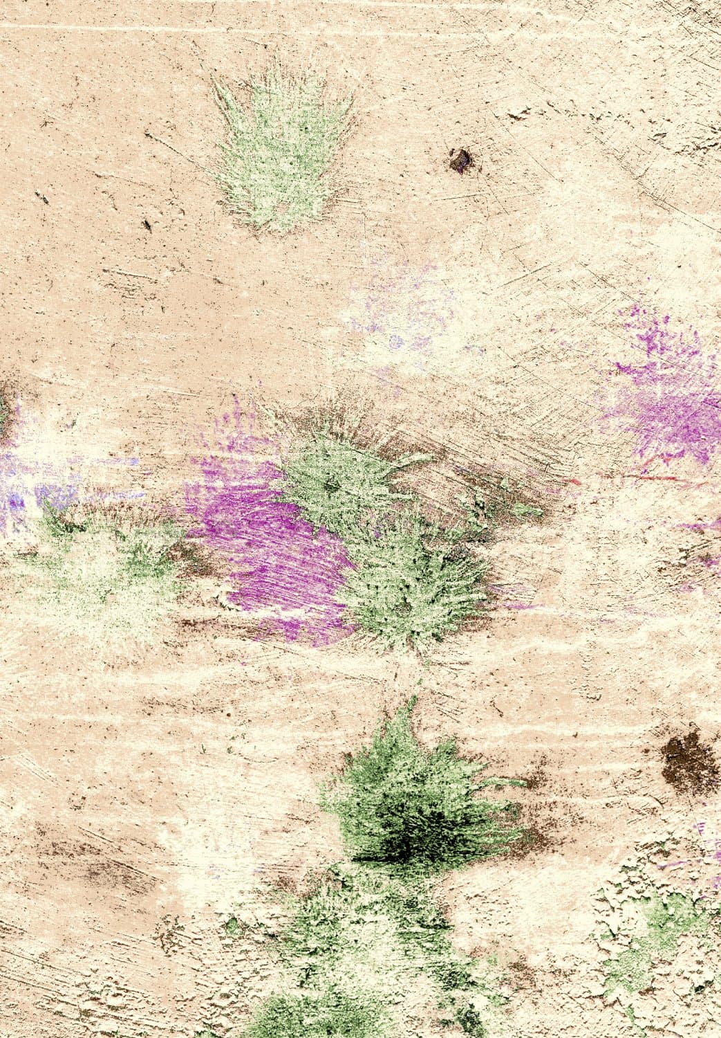 Wilton-teppe - Dimos (beige/multi) (Størrelse: 160 x 230 cm)