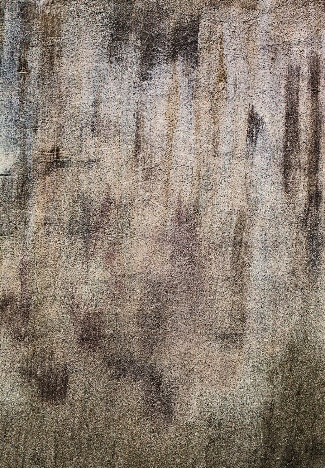 Wilton-teppe - Polia (grå/brun) (Størrelse: 240 x 340 cm)